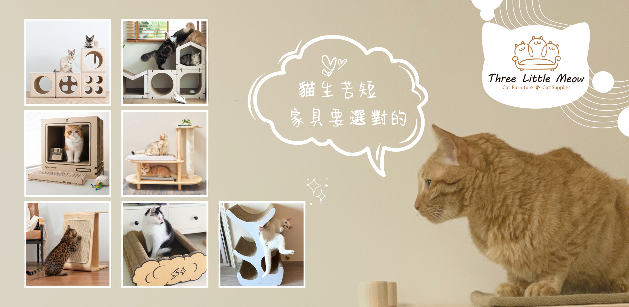 貓用品-貓傢俬-貓跳台