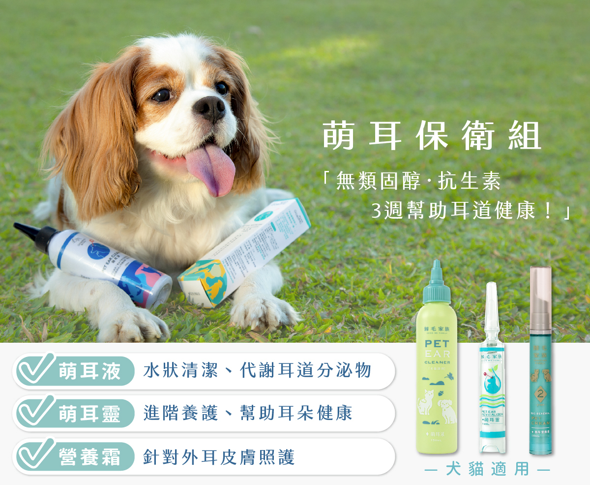 日常做好清潔，才能讓毛孩耳朵真正遠離搔癢與感染。