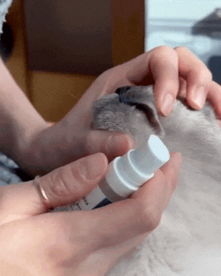 StomoAct®韓國寵物口腔細胞修復GEL 10g