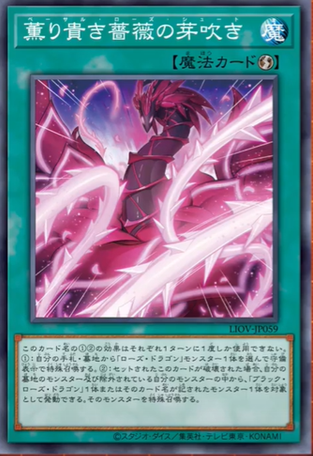 LIOV-JP059  薫り貴き薔薇の芽吹き (薰貴薔薇的發芽)