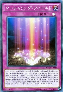 DUEA-JP090 マーシャリング・フィールド(盾徽配列場)
