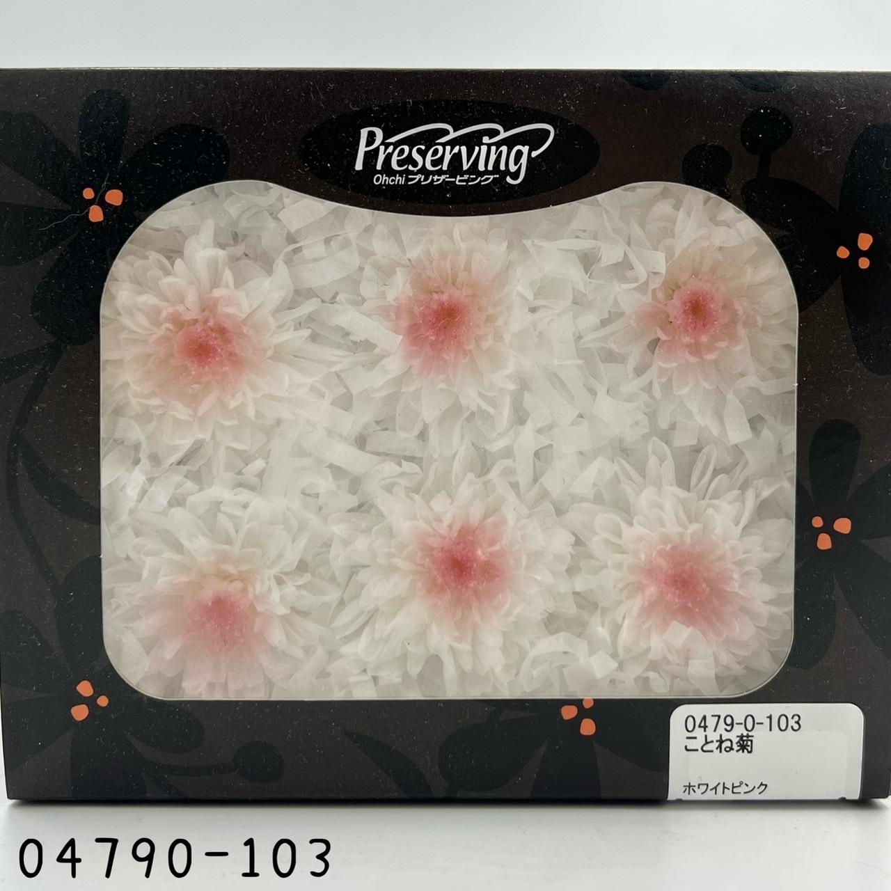 日本不凋菊花(6朵/盒) 04790-103