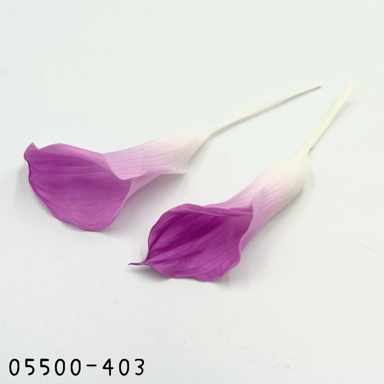 日本不凋海芋 05500-403