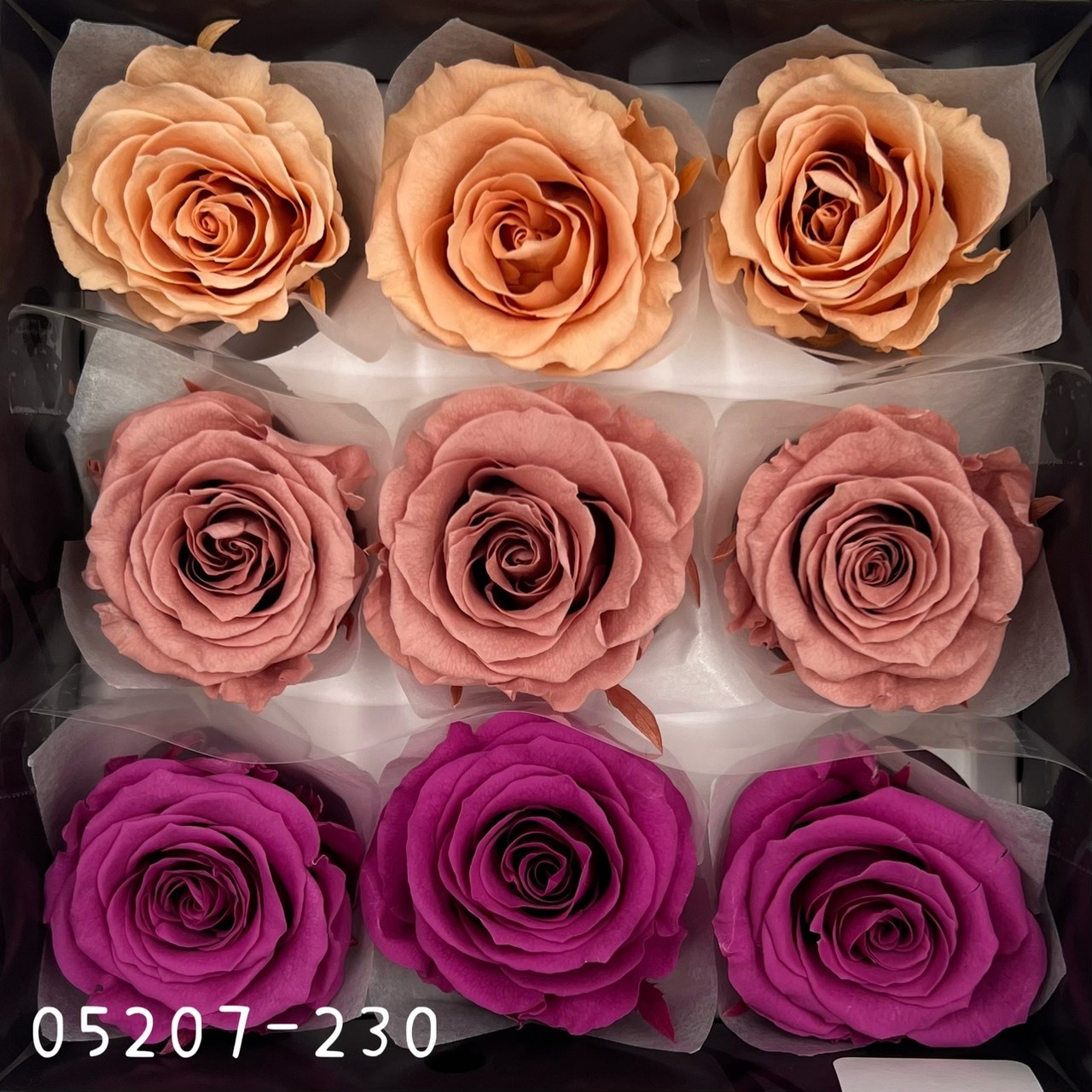 日本不凋大輪玫瑰(M-9朵) 05207-230