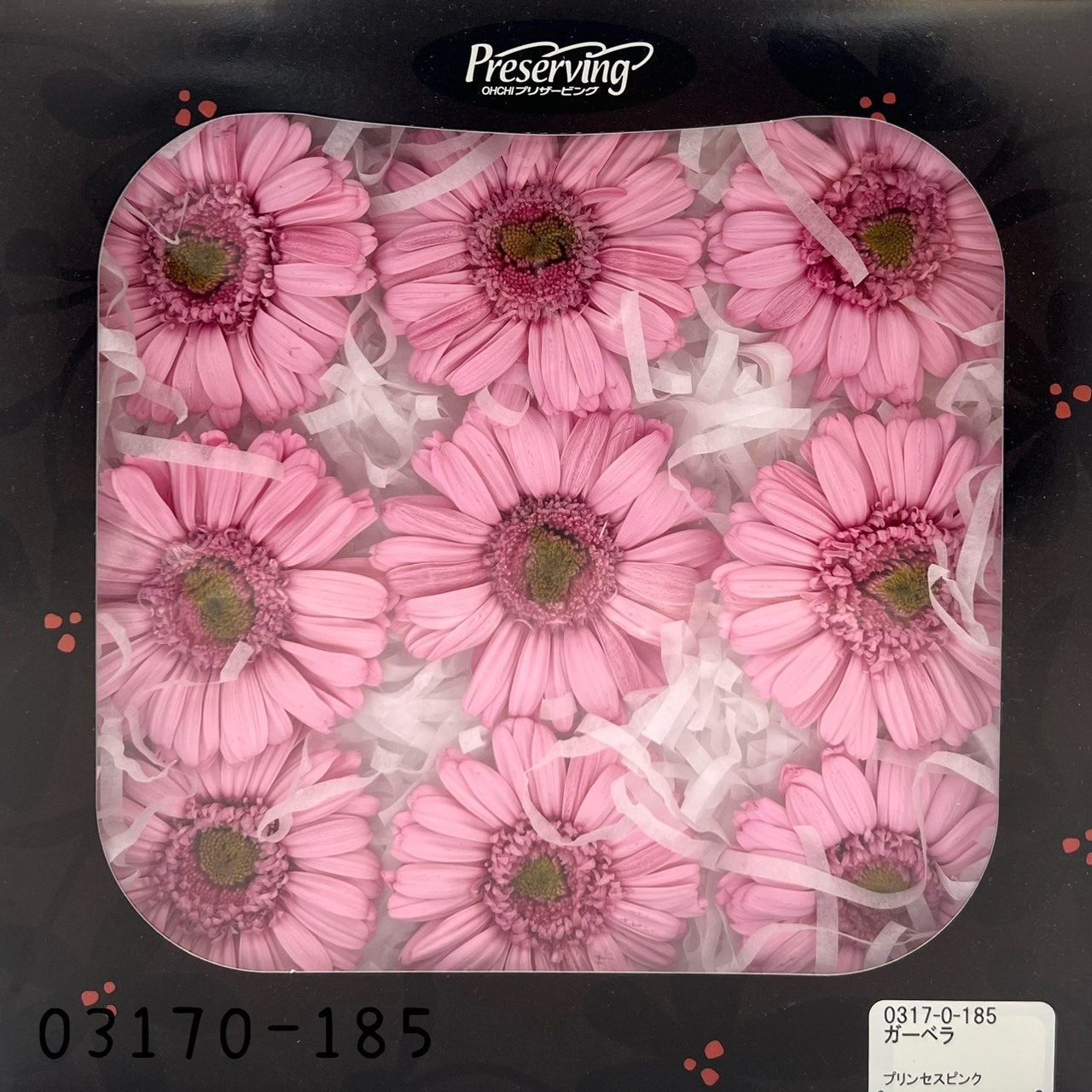 日本不凋非洲菊(9朵) 03170-185