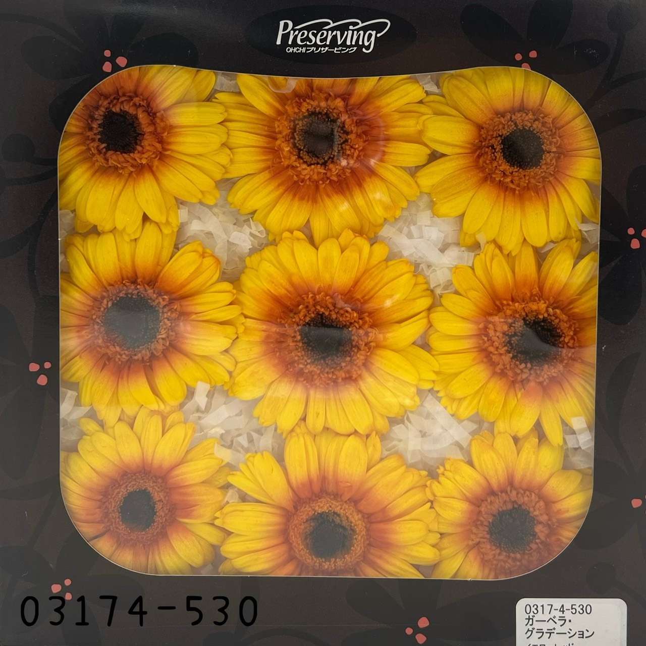 日本不凋非洲菊(9朵) 03174-530