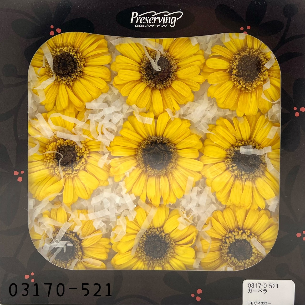 日本不凋非洲菊(9朵) 03170-521