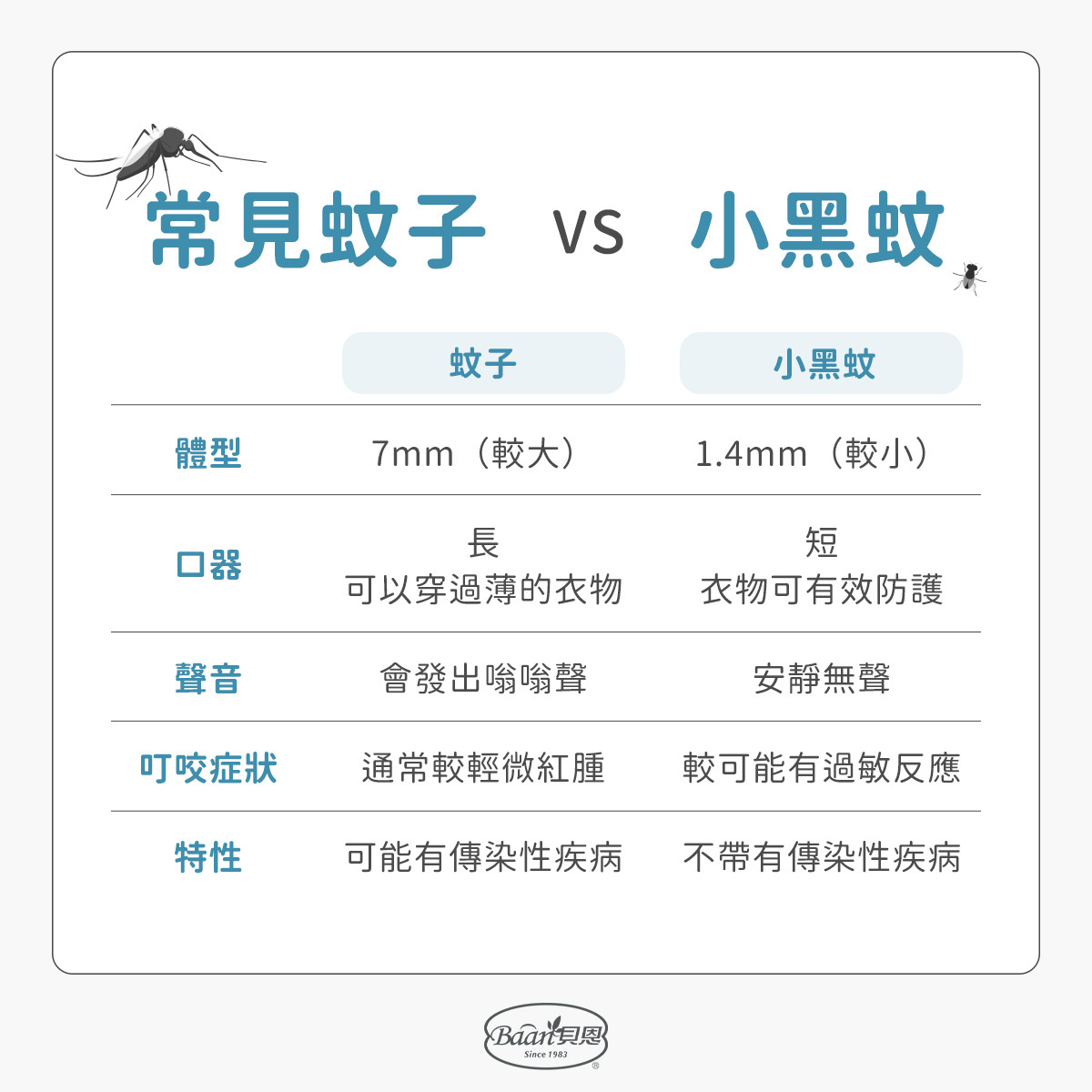 小黑蚊特徵