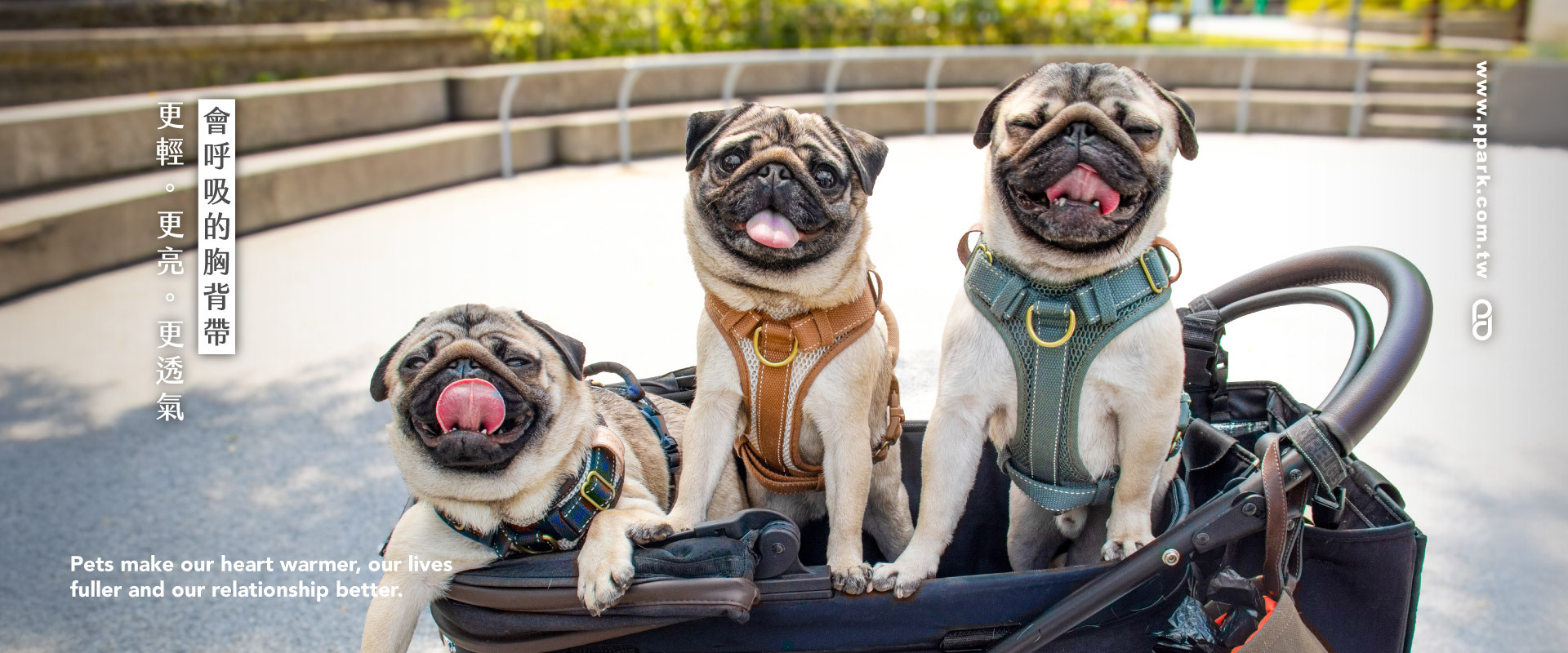 CoolFit 2代胸背帶,舒適升級,更輕、更亮、更透氣,適合長時間穿戴,減輕毛孩負擔!