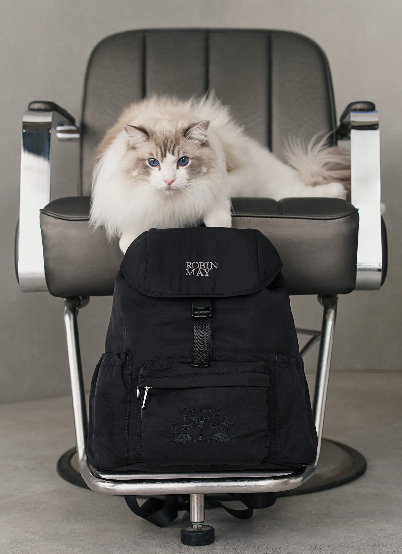 台湾ROBINMAY×Disney Cats&Dogsシリーズ キャンバスバッグZB010 迪士尼貓狗提袋(S)｜ROBINMAY 官方網站(RM)