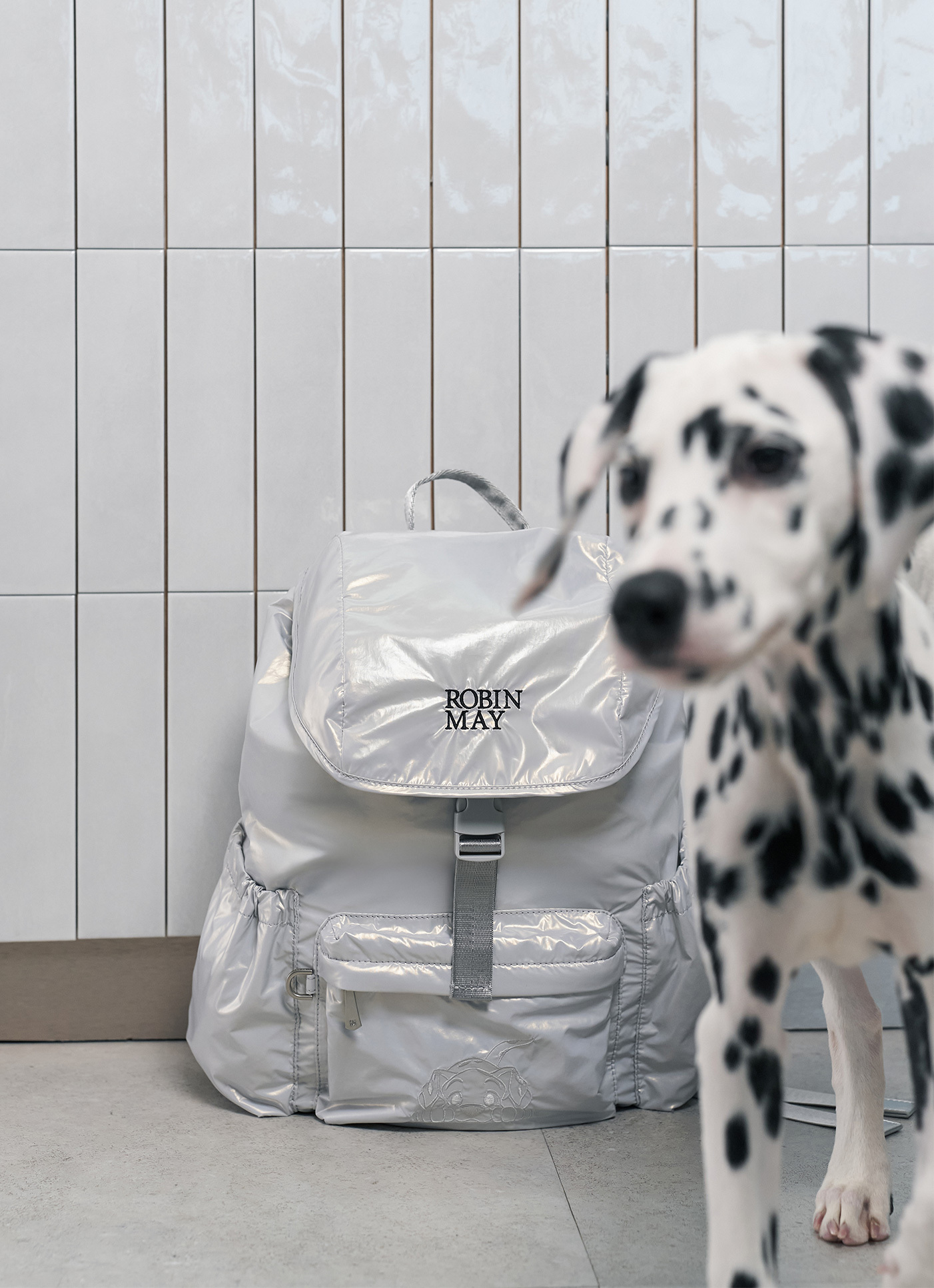 ★ROBINMAY Disney Cats & Dogs バックパック リュック/送料込 ROBINMAY(ロビンメイ) バックパック・リュック(レディース
