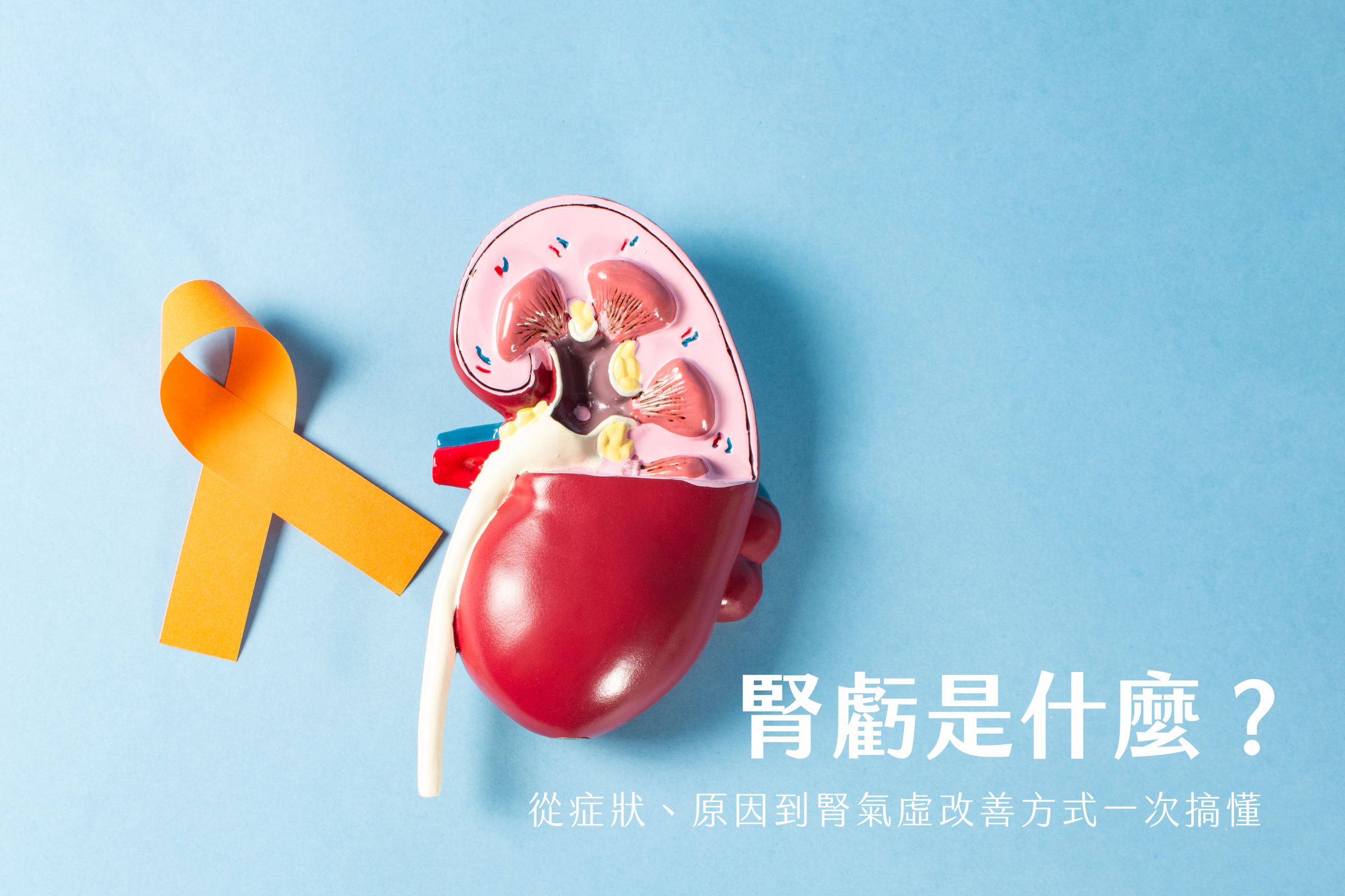 腎虧是什麼？從症狀、原因到腎氣虛改善方式一次搞懂