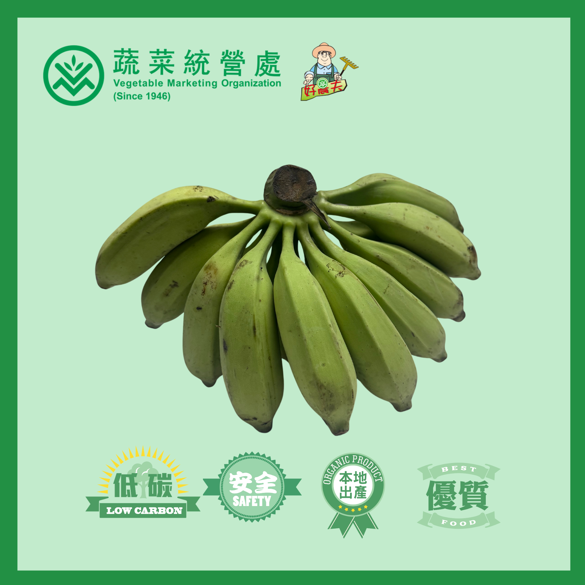 Local Organic Banana (CATTY)