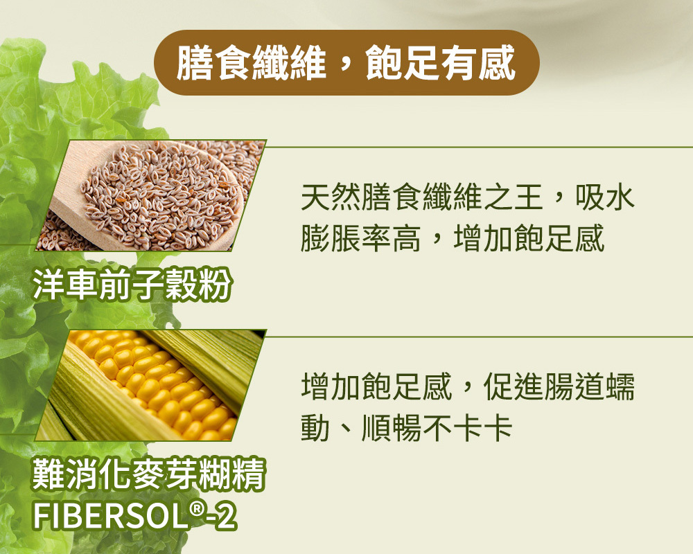 Jvita潔薇塔高速能抹茶奶昔 代餐 高蛋白抹茶粉 蛋白抹茶飲