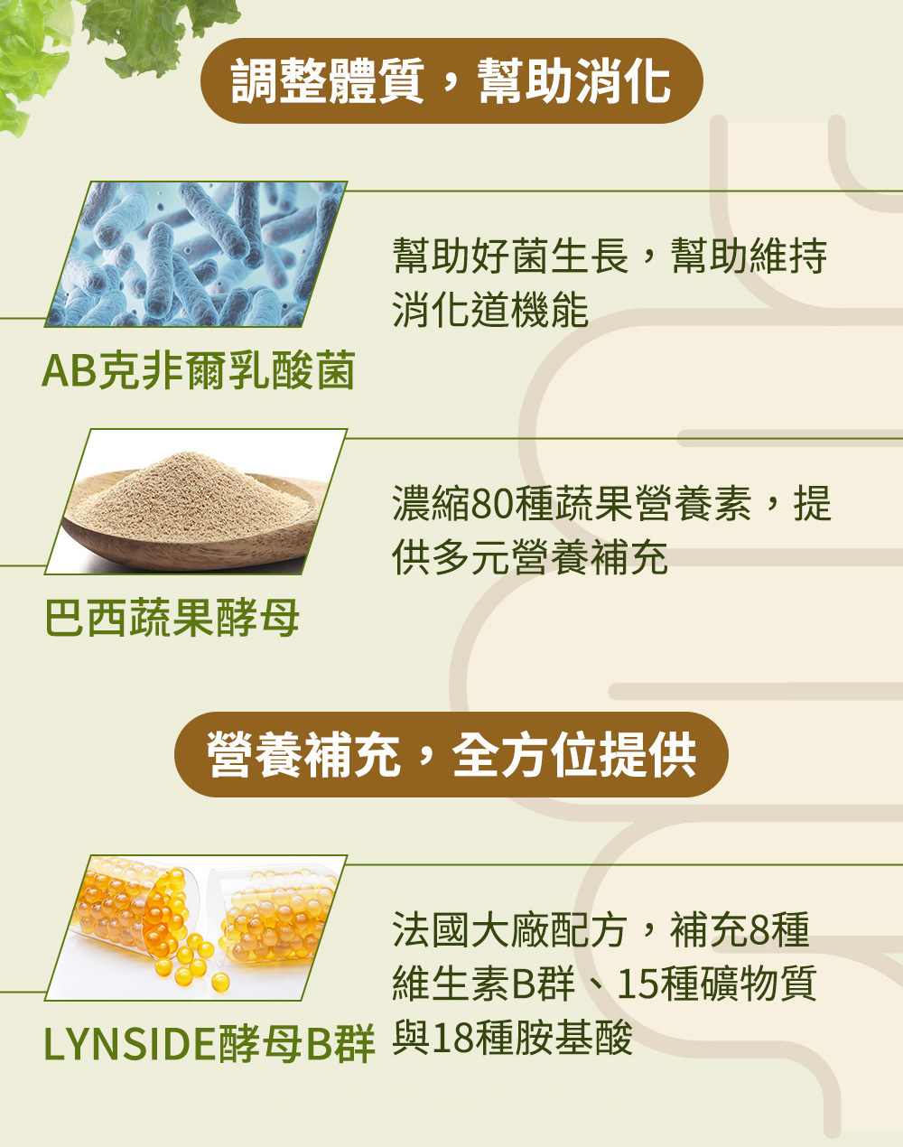 Jvita潔薇塔高速能抹茶奶昔 代餐 高蛋白抹茶粉 蛋白抹茶飲