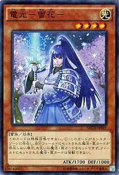 NECH-JP041 電光－雪花－(電光-雪花-)