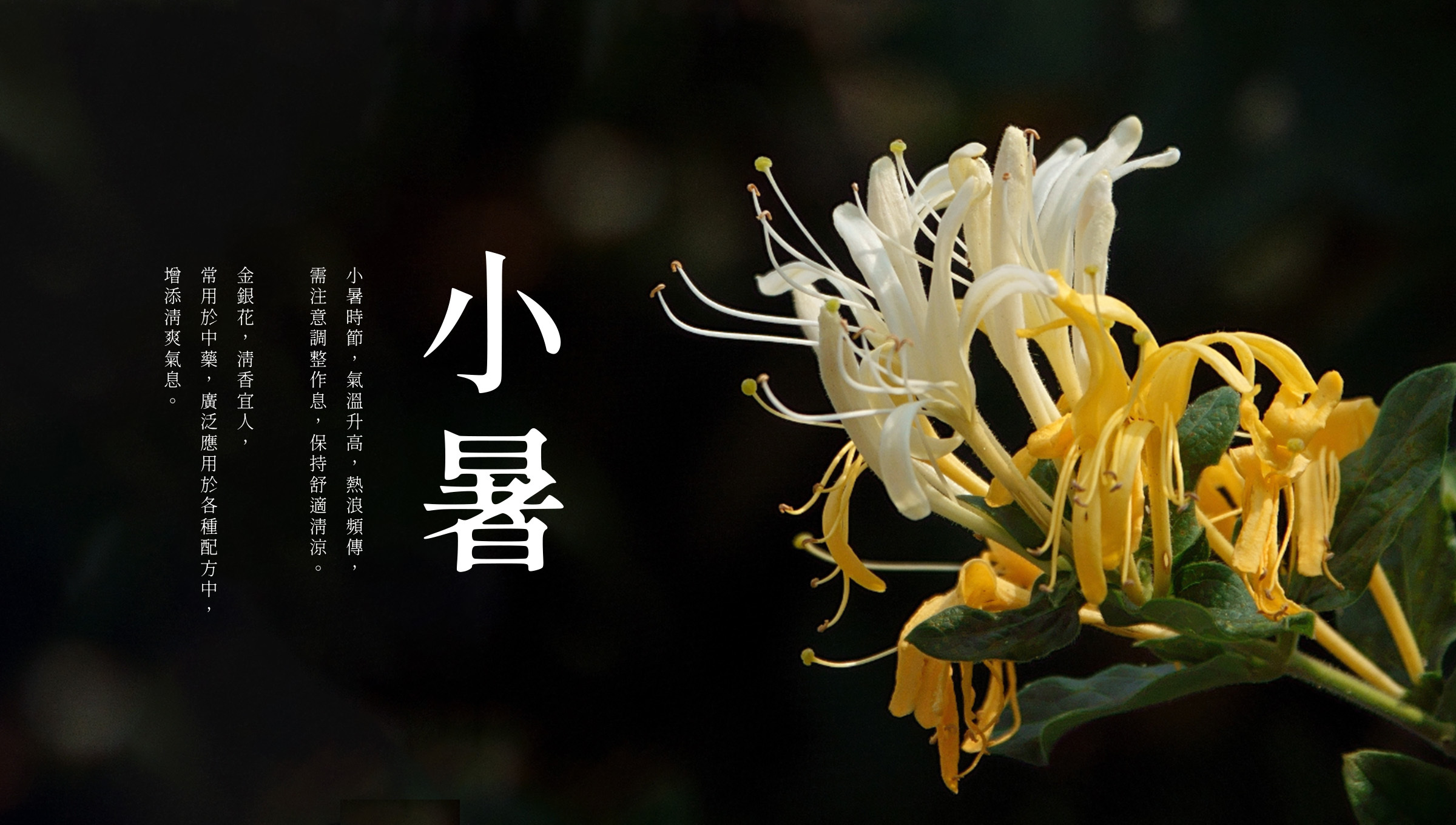 2025小暑節氣，熱浪來襲，如何在高溫中保持健康清涼，5分鐘帶你一點通！