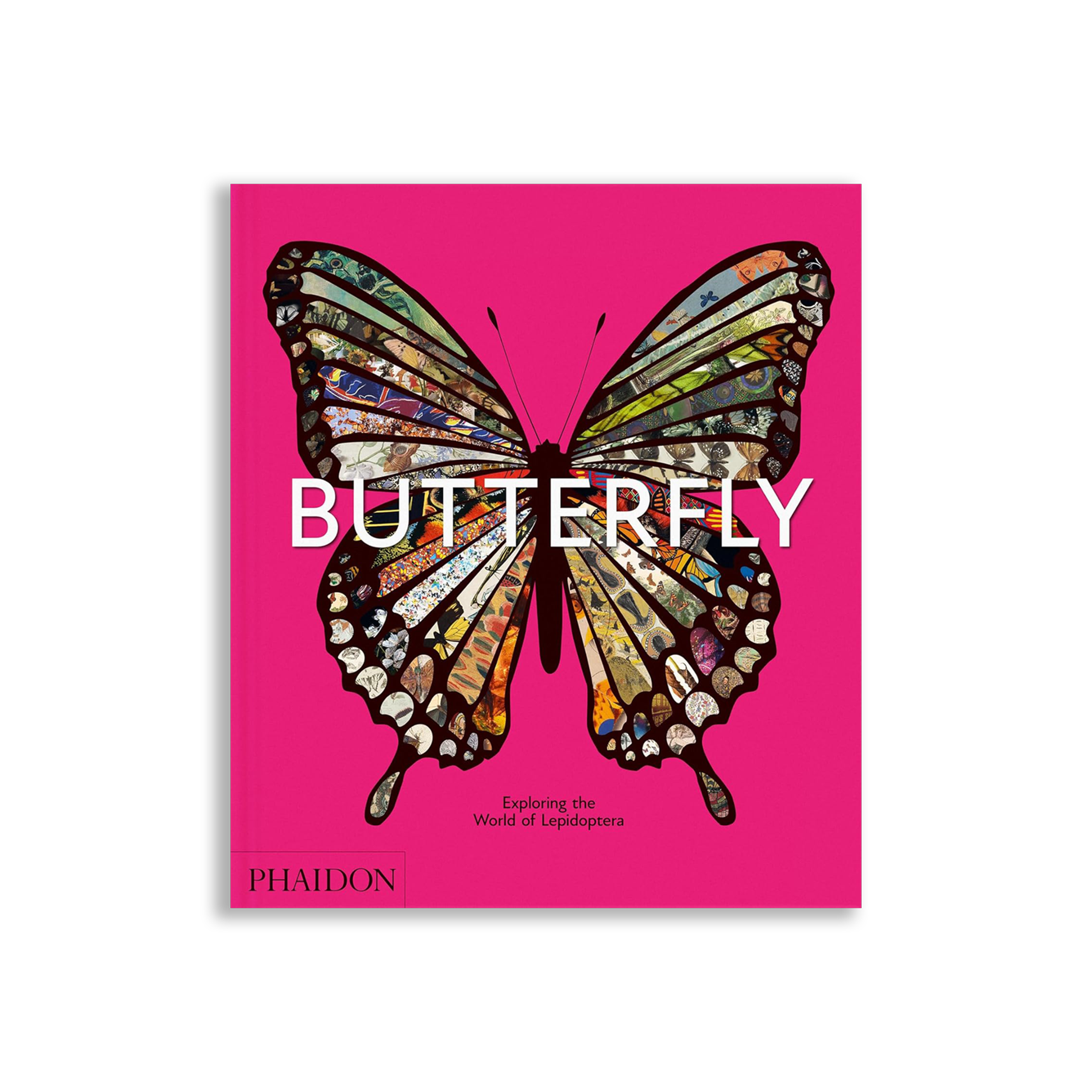 Butterfly: Exploring the World of Lepidoptera
