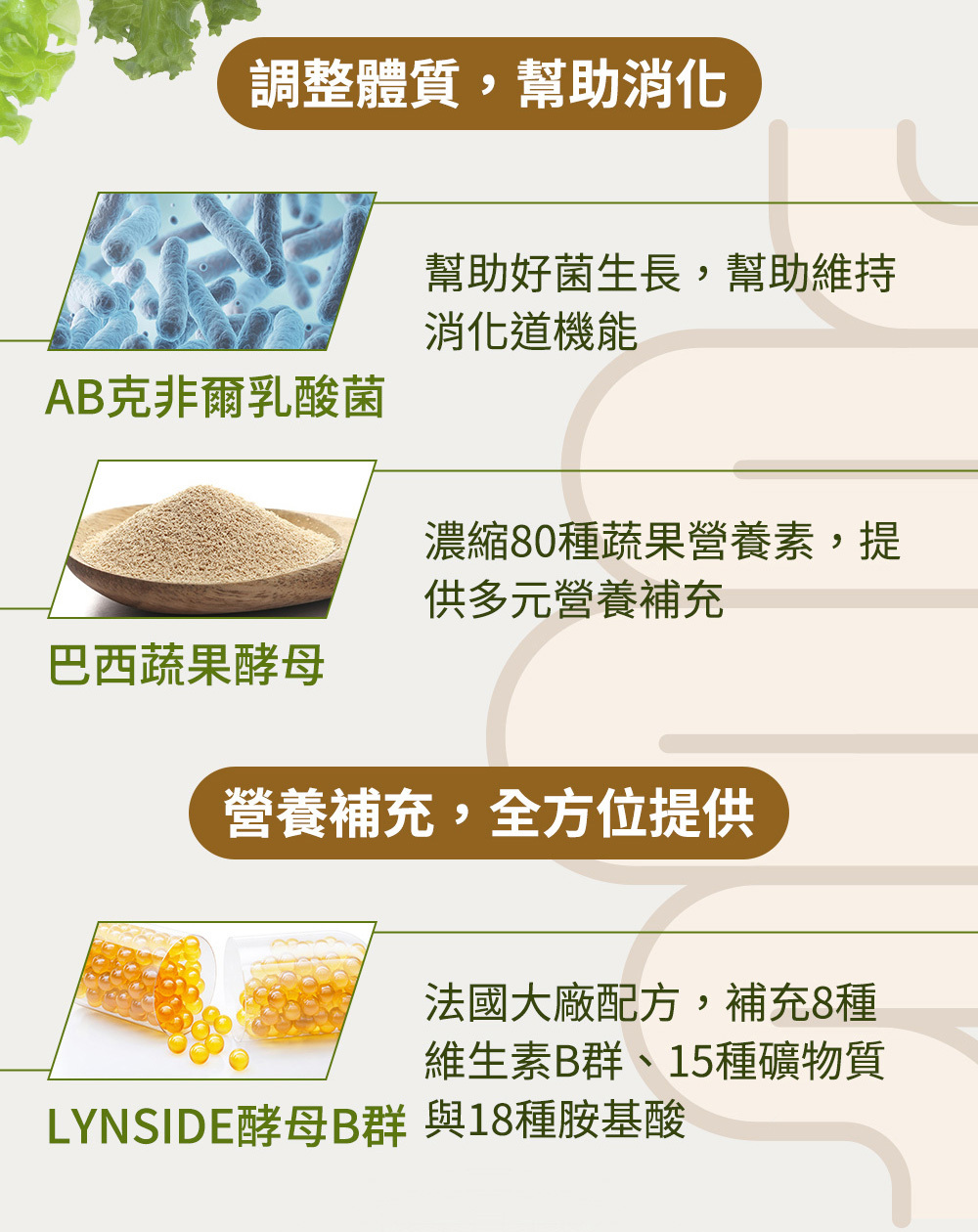 Jvita潔薇塔高速能玉米濃湯奶昔 高蛋白代餐 低熱量代餐 減肥代餐