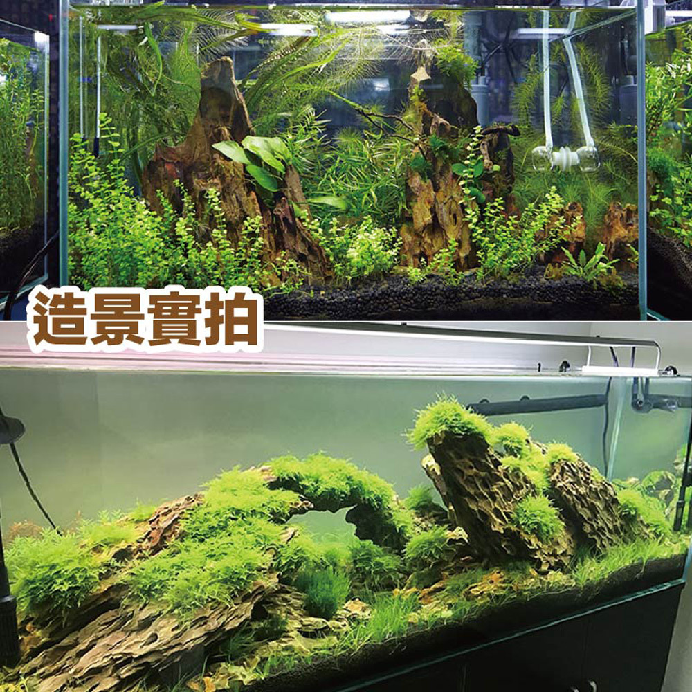 能靈活堆疊、前後擺放或品字型排列，讓您自由發揮創意，打造專屬水族景觀