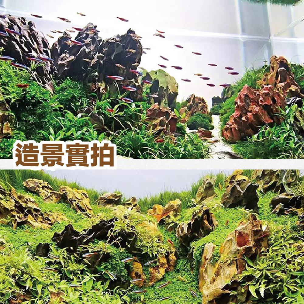 能靈活堆疊、前後擺放或品字型排列，讓您自由發揮創意，打造專屬水族景觀