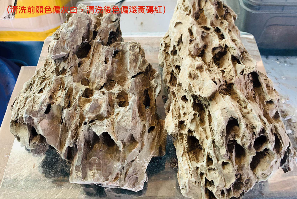 每塊虎皮石皆經天然開採，入缸前僅需簡單沖洗
