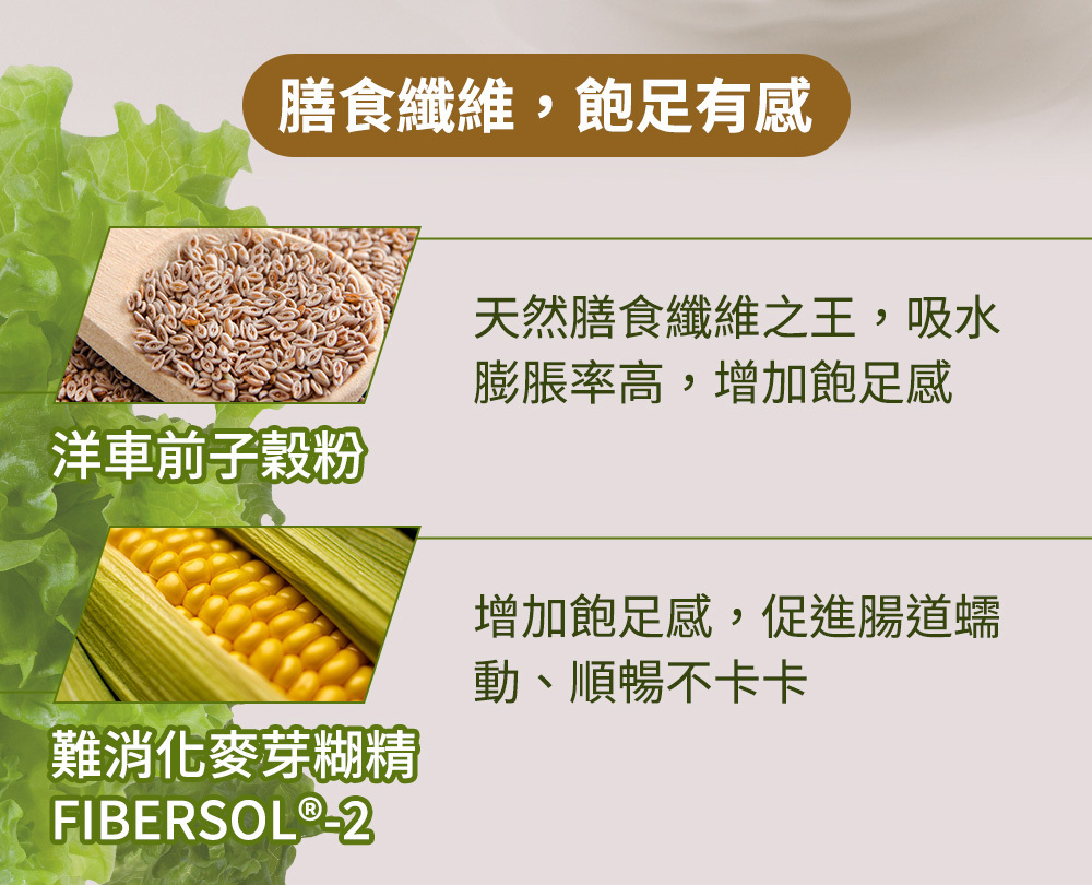 Jvita潔薇塔高速能巧克力 高蛋白飲 巧克力代餐 低熱量代餐