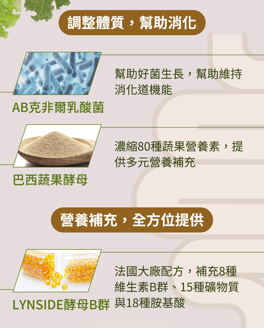 Jvita潔薇塔高速能巧克力 高蛋白飲 巧克力代餐 低熱量代餐