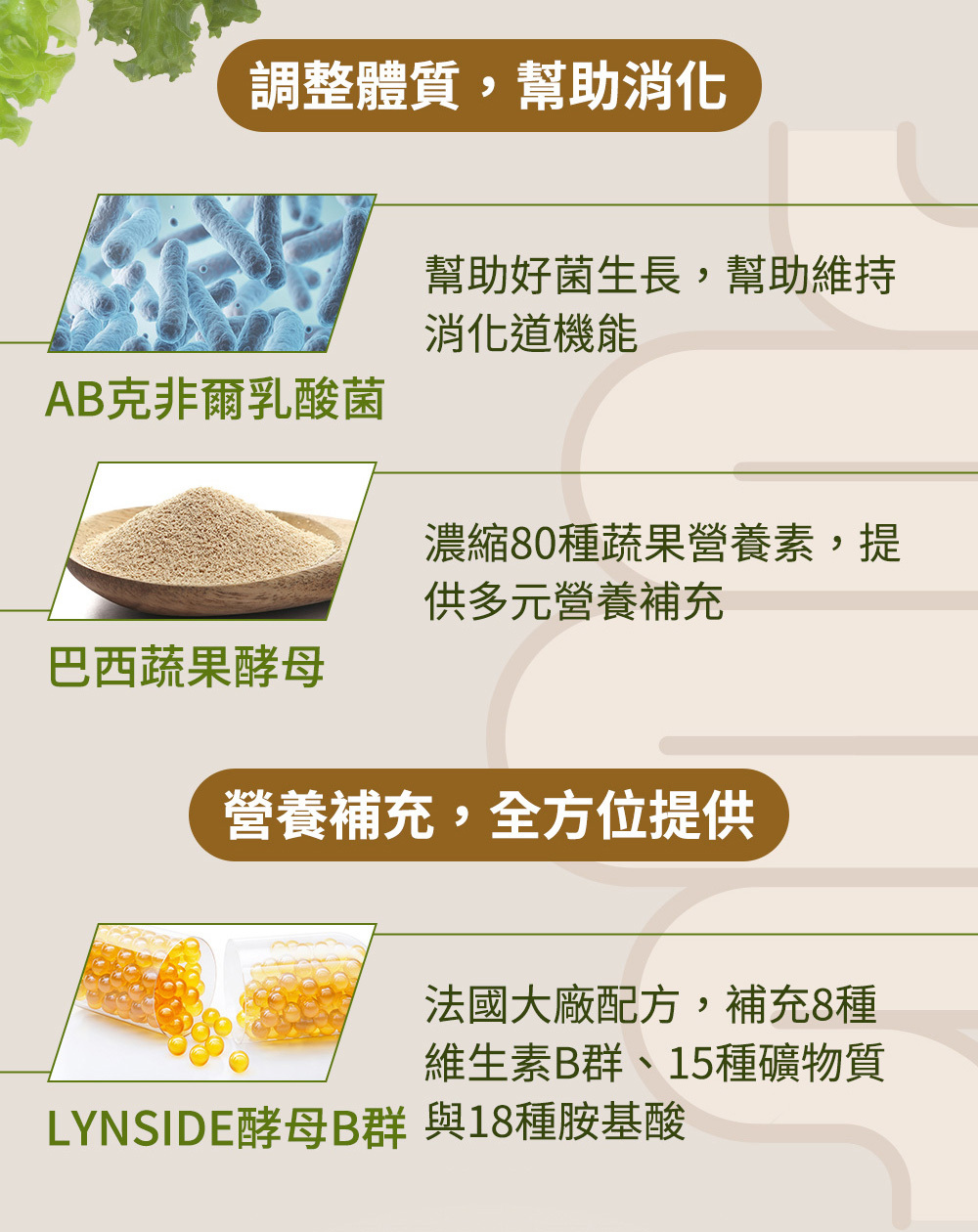 Jvita潔薇塔高速能奶茶 減肥代餐 低熱量奶茶粉 代餐早餐