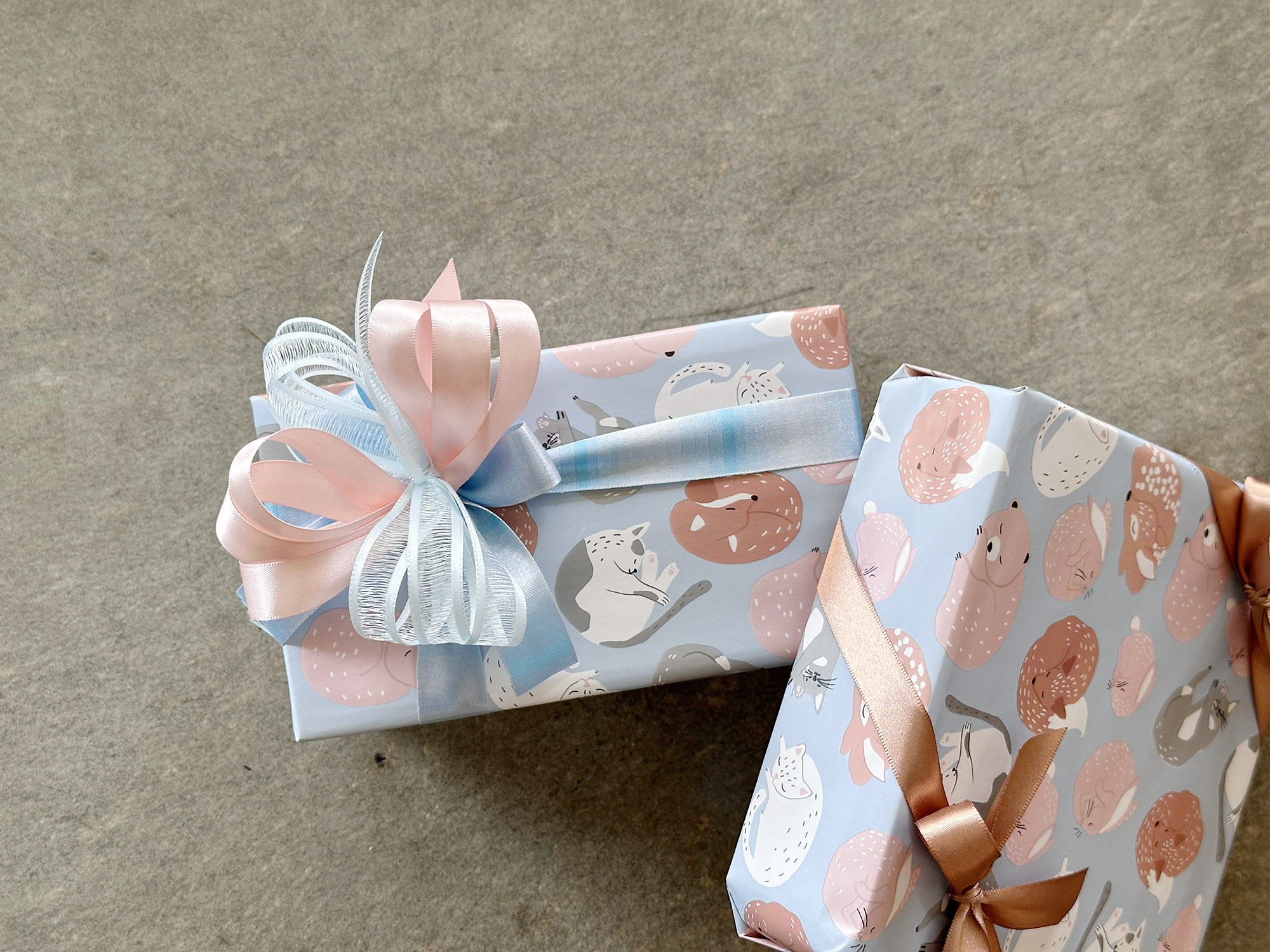 卷尾巴窩著睡/歐洲進口包裝紙 兩款尺寸