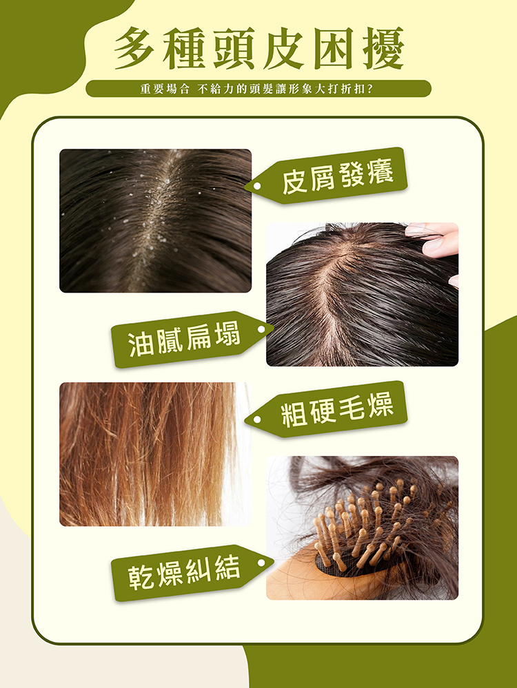 深層清潔洗髮精,染燙前專用洗髮精,去油洗髮精,草本洗髮精,頭皮清潔洗髮精,大容量洗髮精, 頭皮出油洗髮精推薦,去矽靈洗髮精,美髮師推薦洗髮精,頭皮定期深層清潔