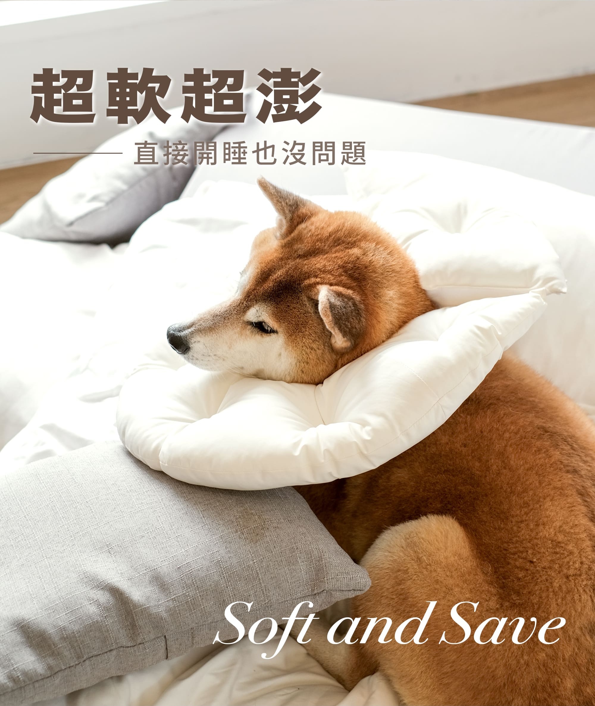 伊莉莎白頭套, 寵物頭套