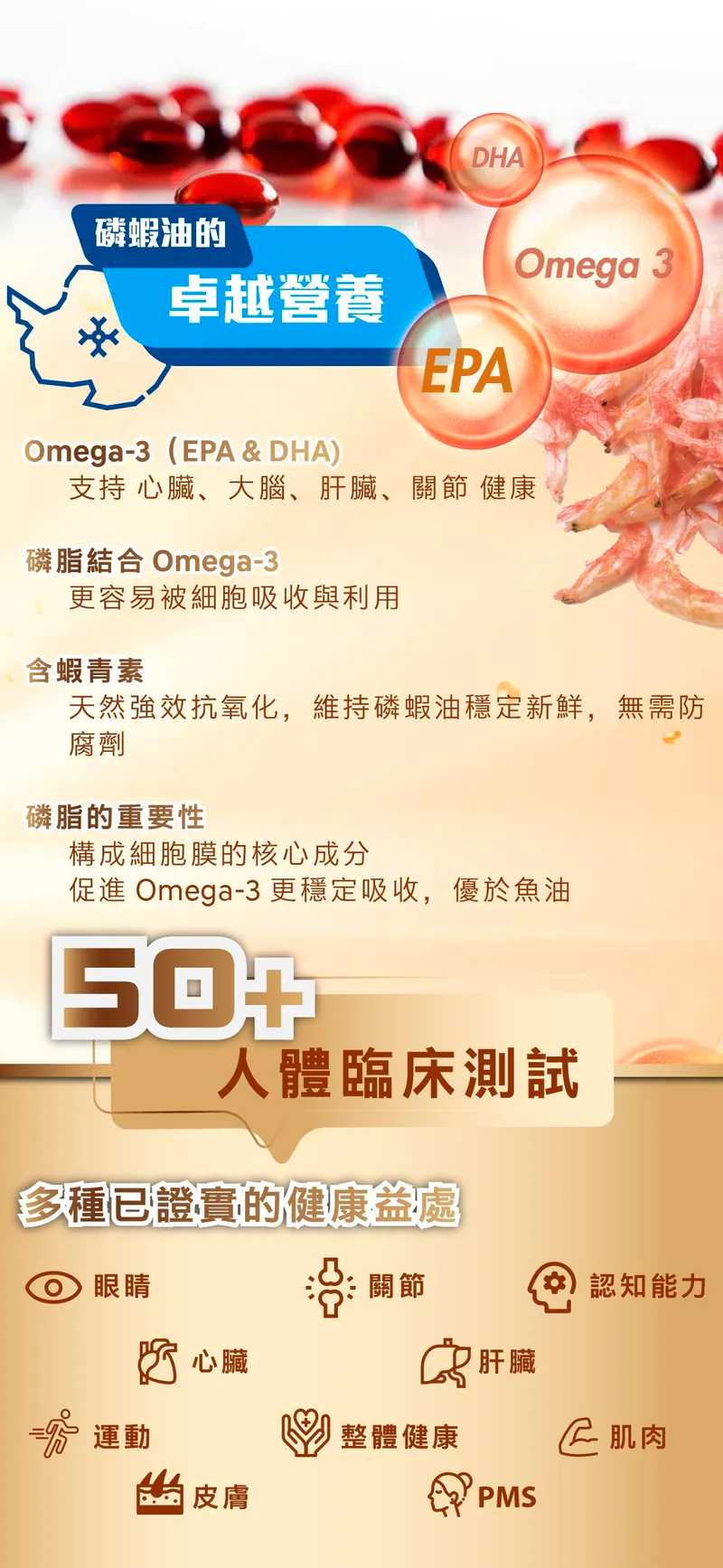 康之森 Healthy Woods 磷蝦油 | 3盒以上有優惠【10/19 截單，預計 :10月尾至11月中發貨】】