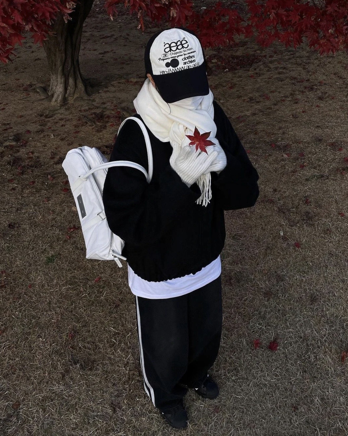 <有娜同款> aeae Web Logo Cap 棒球帽 老帽 8款