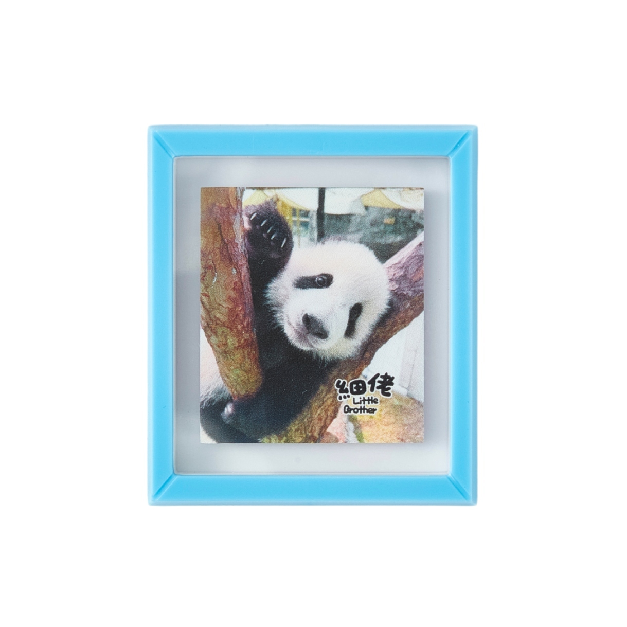 Little Brother “De De” on Branch Frame Magnet