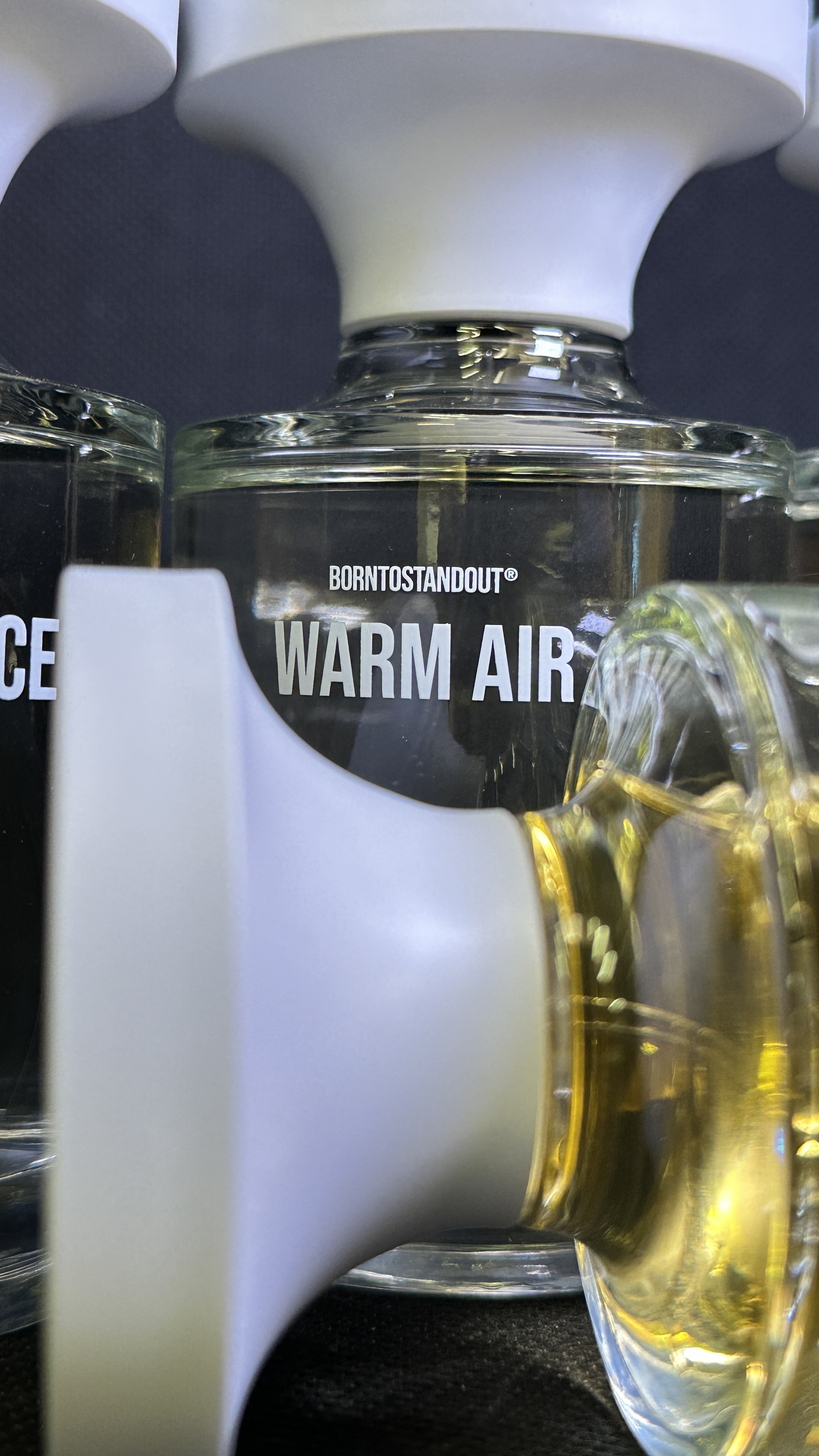 BORNTOSTANDOUT Warm Air PERFUME