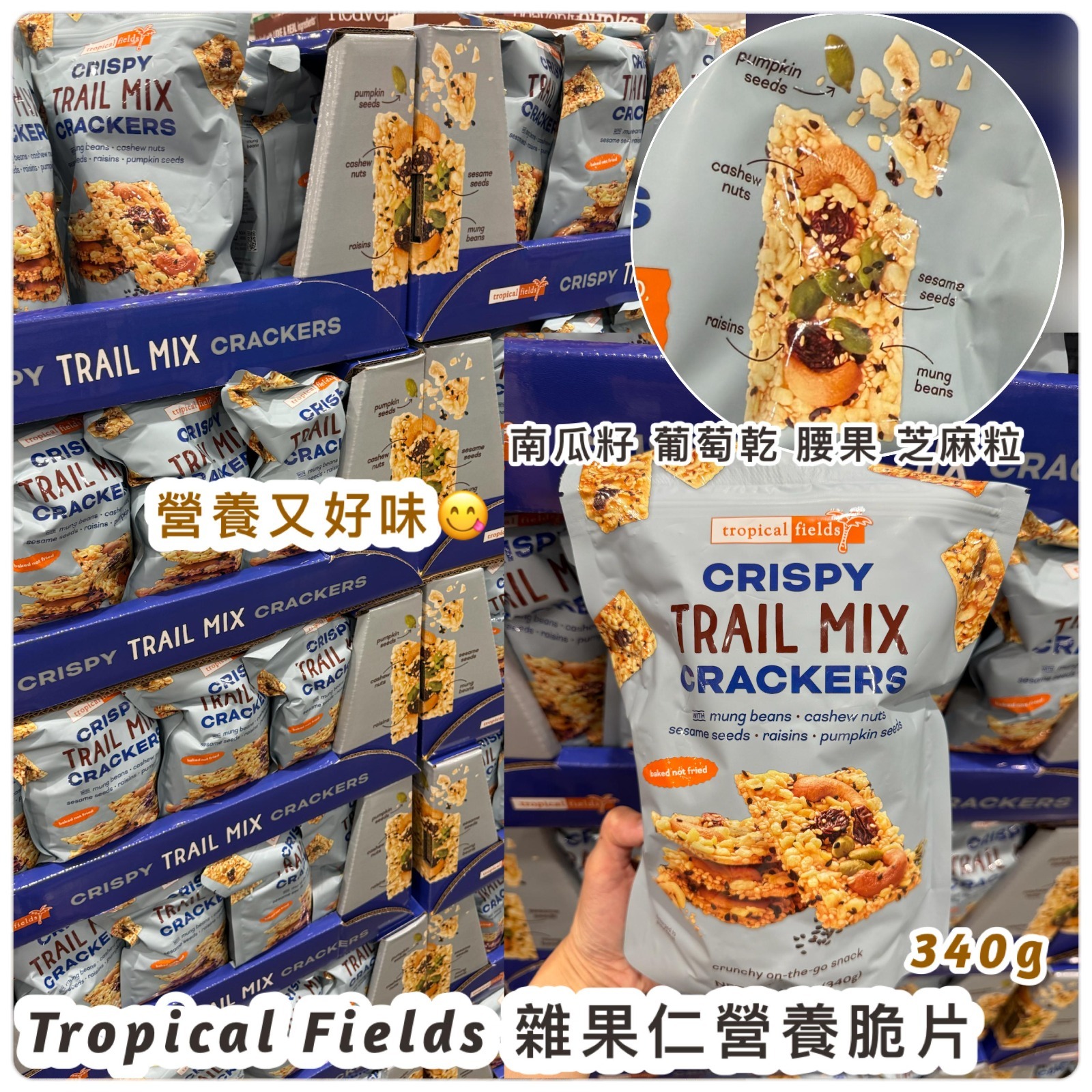 Tropical Fields 雜果仁營養脆片