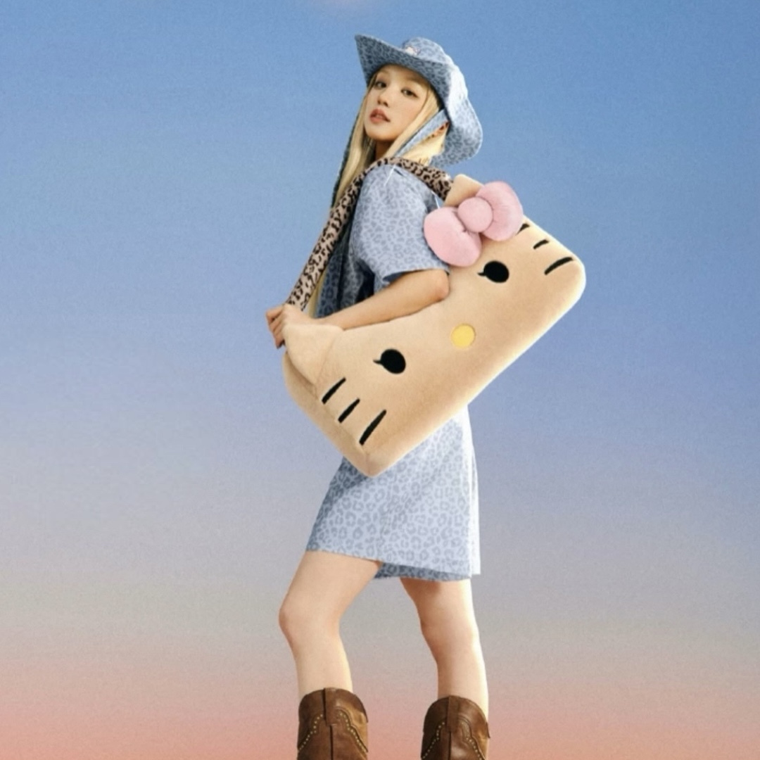 HELLO KITTY X TBH 宋雨琦代言 復古收音機 手提抱枕 豹紋 黑皮 造型抱枕 凱蒂貓 代購