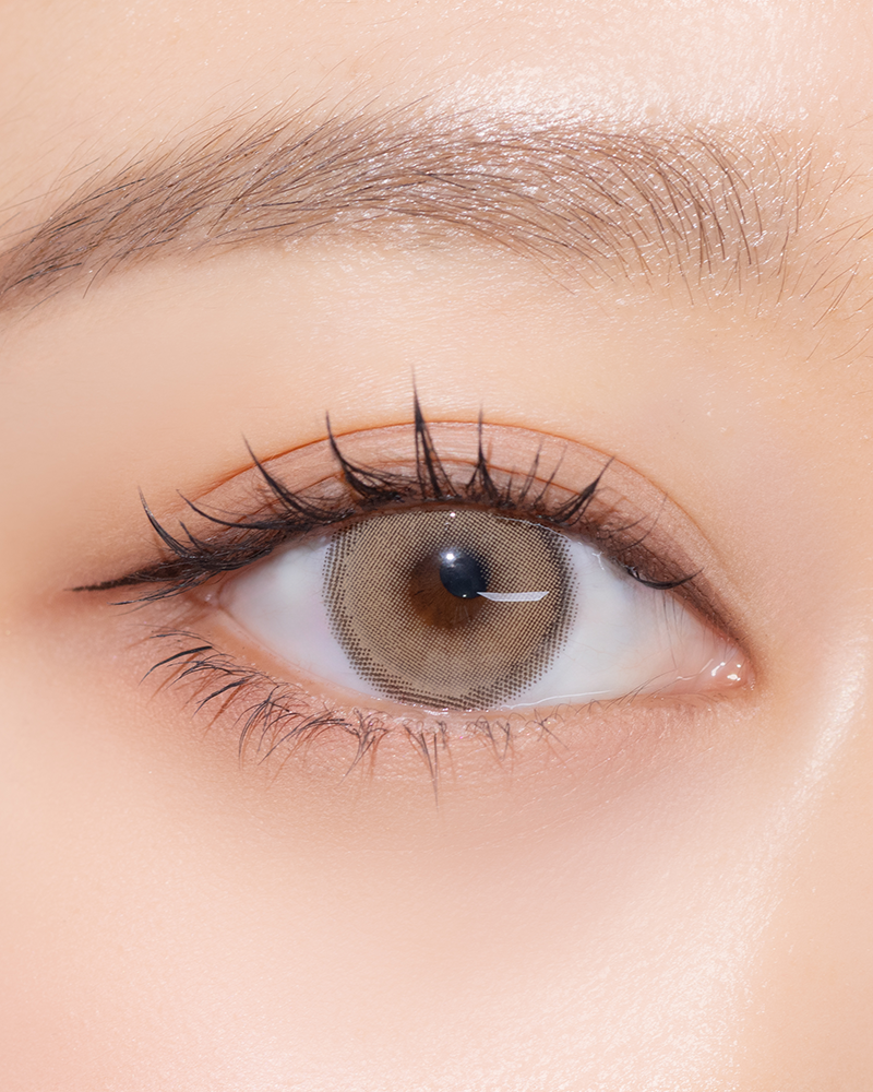 [日拋] SIESTA SAHARA 1 Day Fox 彩妝隱形眼鏡｜每盒10片