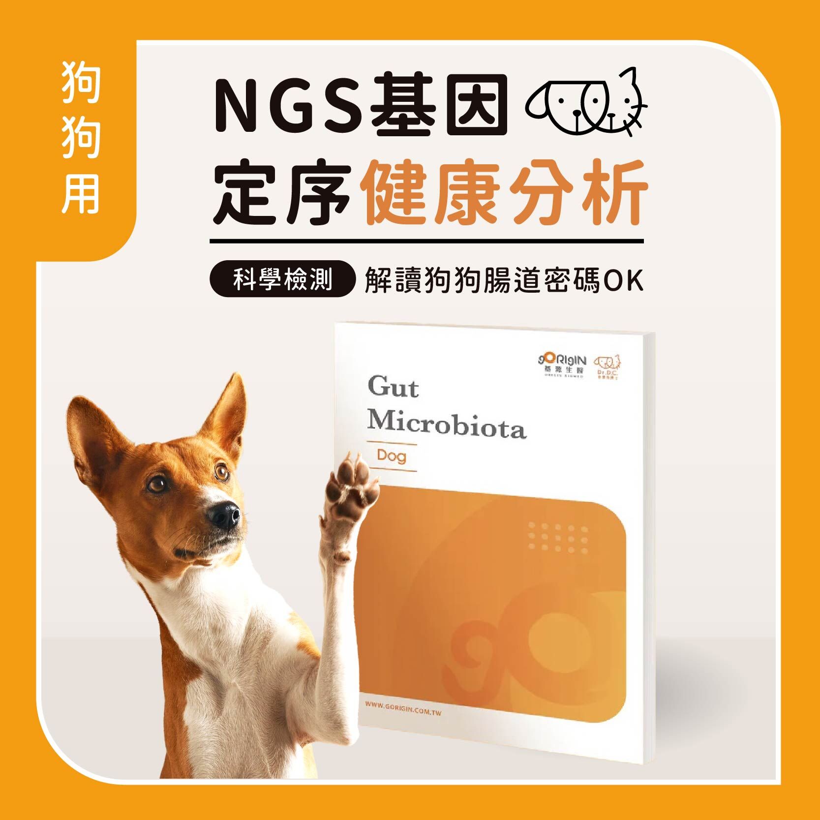 寵物基因定序檢測示意圖