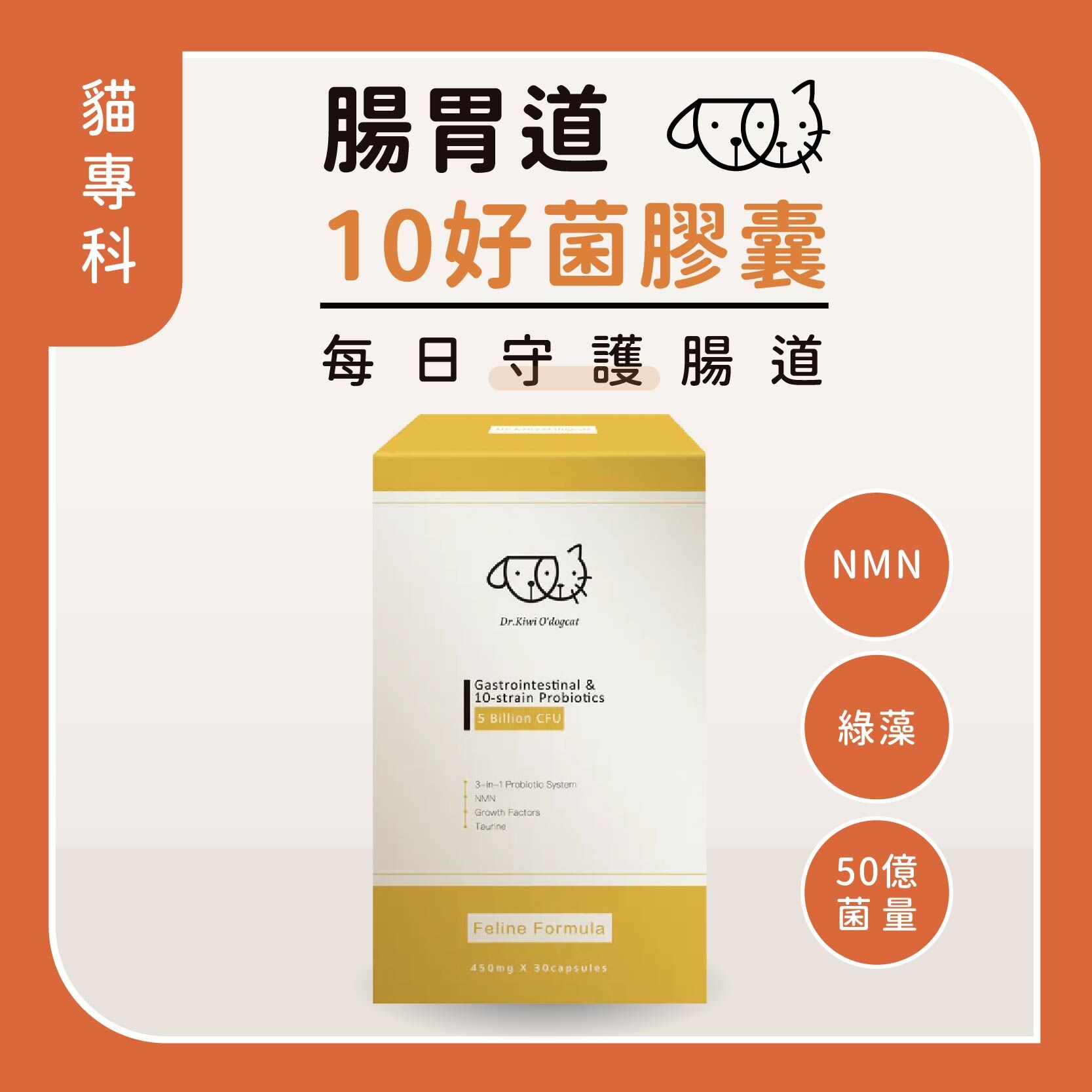 貓益生菌