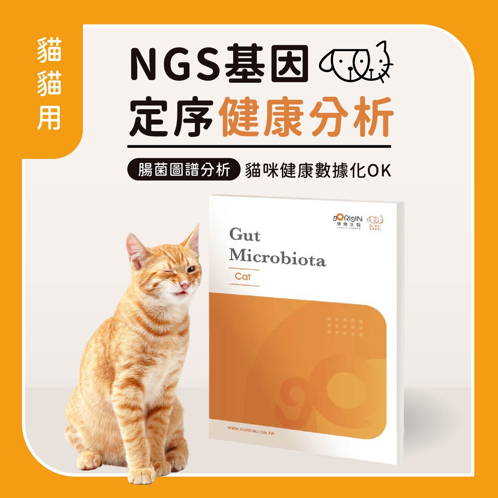 貓咪基因檢測示意圖
