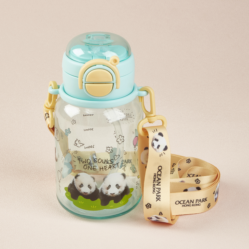 Elder Sister “Jia Jia” & Little Brother “De De” Water Bottle with Stripe