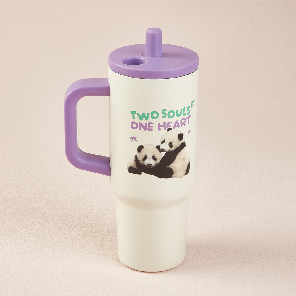 Elder Sister “Jia Jia” & Little Brother “De De” Insulation Tumbler
