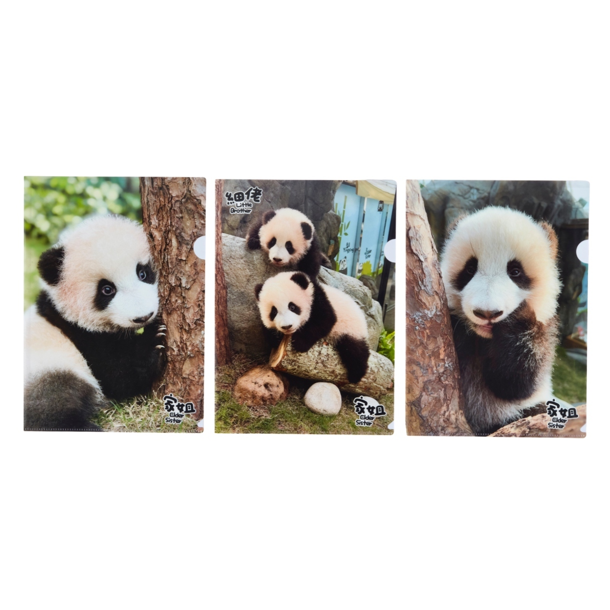 Elder Sister “Jia Jia” A4 Folder (Set of 3)