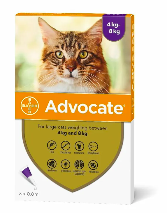 Advocate - 心疥爽大貓 (4-8公斤)