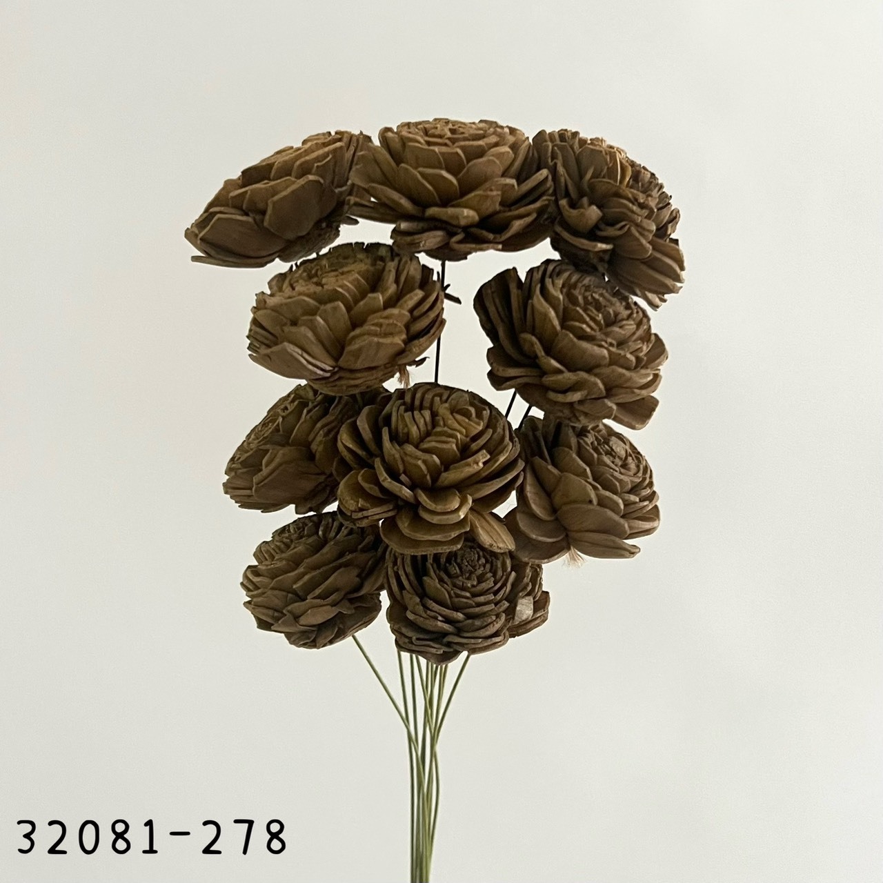 日本索拉玫瑰花(4cm) 32081-278