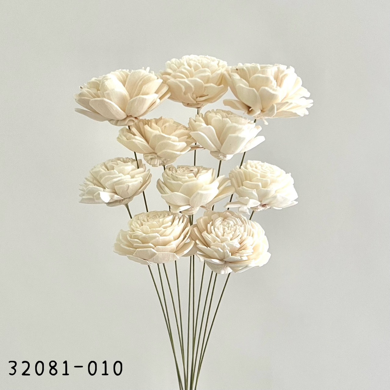 日本索拉玫瑰花 (4cm) 32081-010