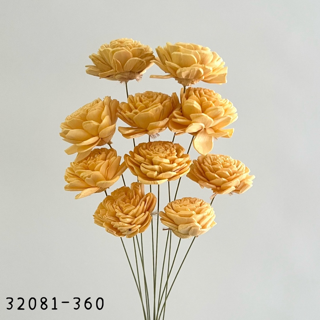 日本索拉玫瑰花(4cm) 32081-360