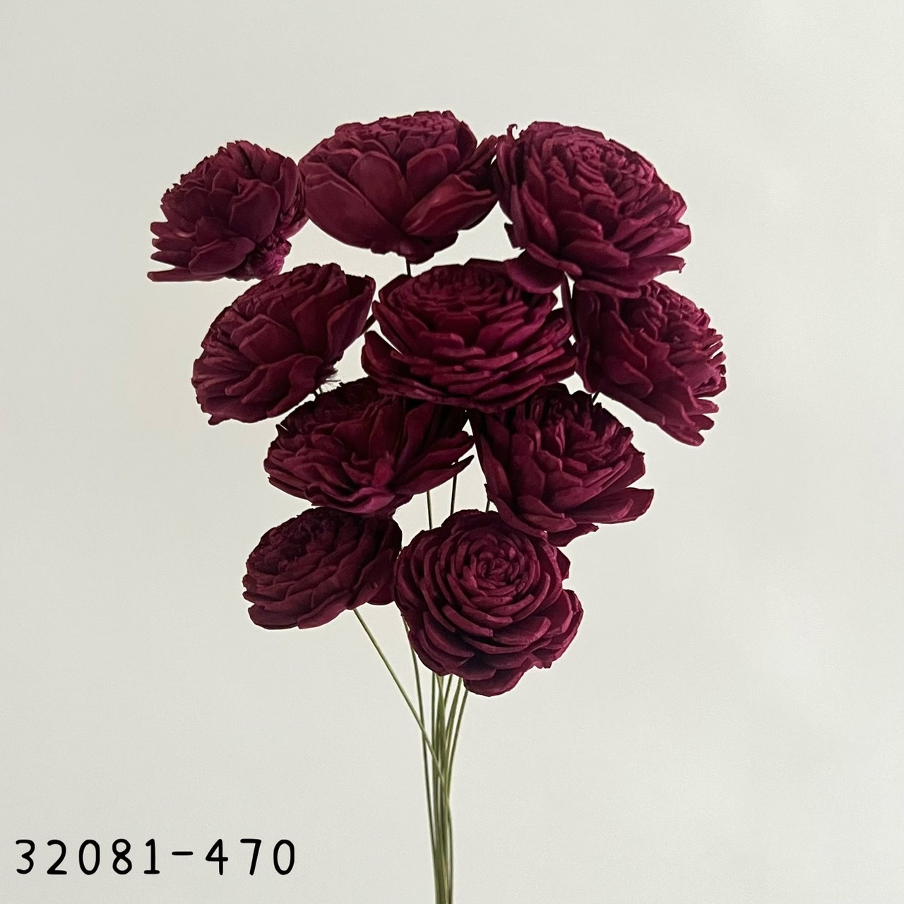 日本索拉玫瑰花 (4cm) 32081-470